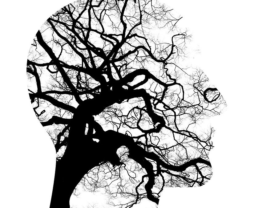 psychology studies psychology studies